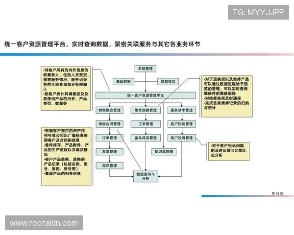 新利全站：客户服务体系建设与用户满意度提升策略