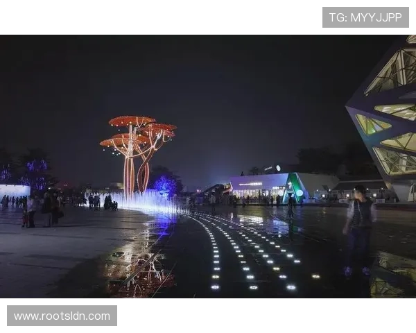 海岸国际娱乐城：体验奢华娱乐与精彩表演的理想之地