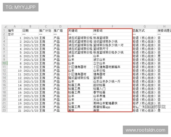 百家乐百科全书：从入门到精通的详细游戏规则与实战技巧指南